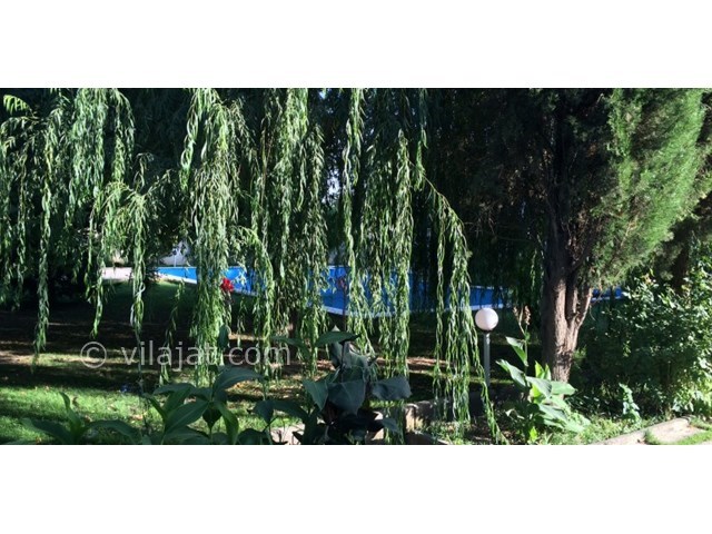 عکس اصلی شماره 3 - فروش باغ ویلا استخردار