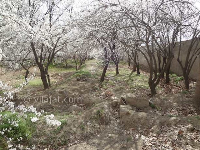 عکس اصلی شماره 4 - خرید خانه باغ در شهریار