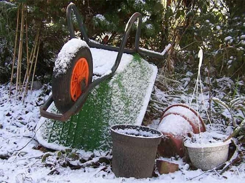 عکس اصلی شماره 1 - نگهداری باغ در فصل سرما