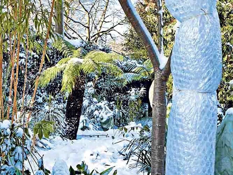 عکس اصلی شماره 2 - نگهداری باغ در فصل سرما