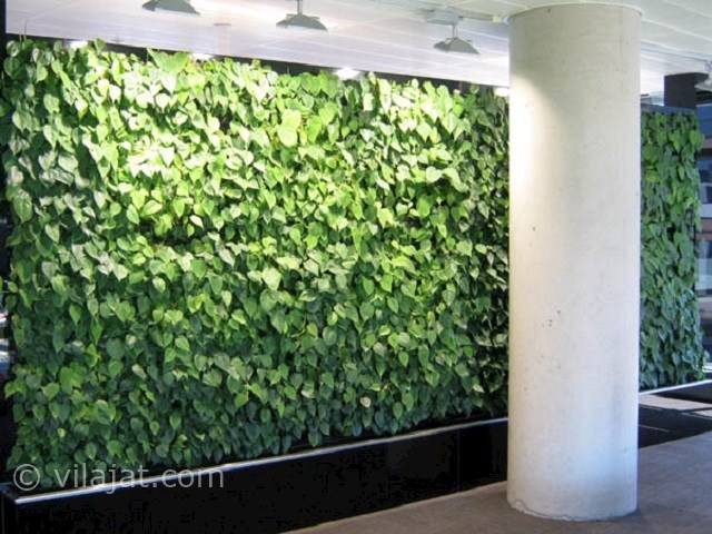 عکس اصلی شماره 7 - دیوار سبز ویلا