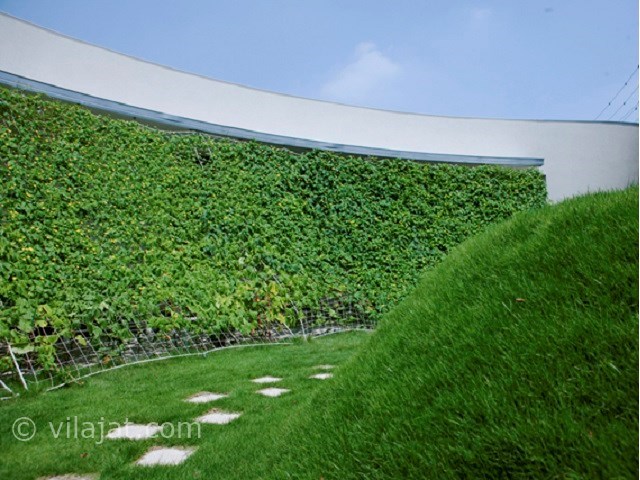 عکس اصلی شماره 2 - دیوار سبز ویلا