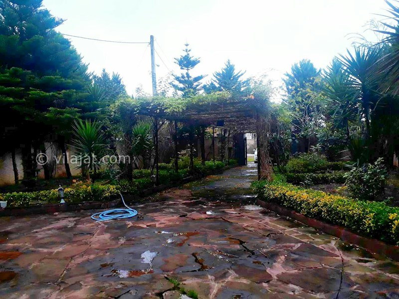 عکس اصلی شماره 2 - فروش ویلا باغ در نوشهر چلندر