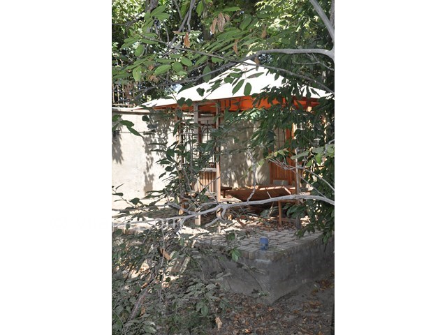 عکس اصلی شماره 4 - فروش ویلا باغ در کردان