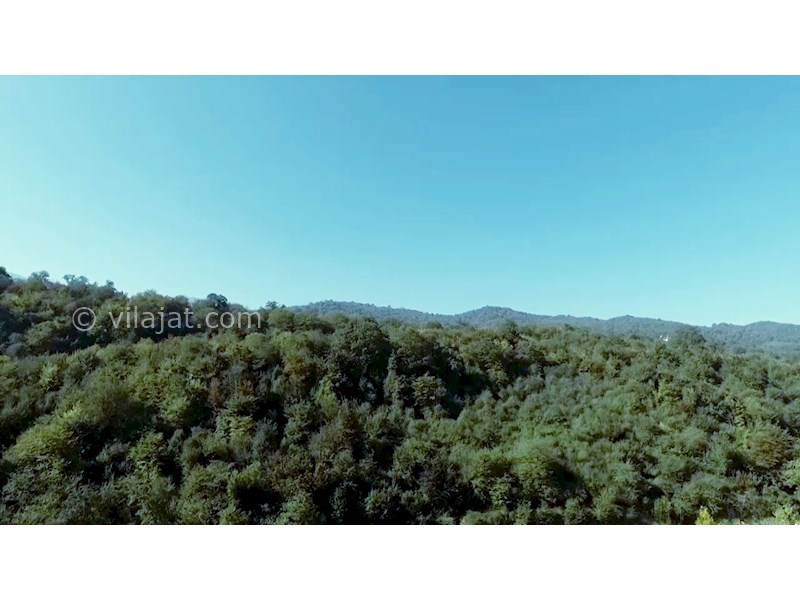 عکس اصلی شماره 7 - فروش ویلا چسبیده به جنگل در آمل