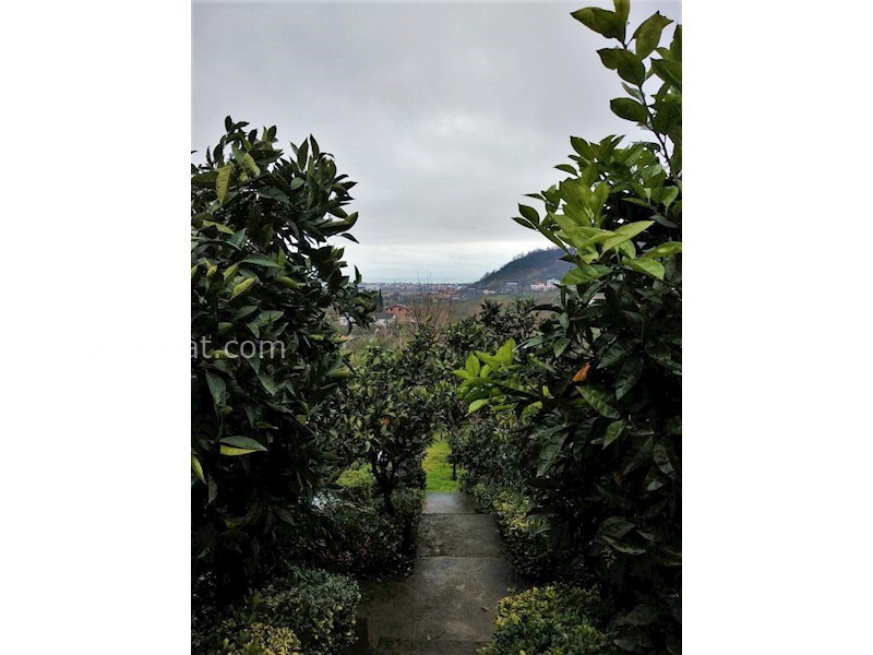 عکس اصلی شماره 2 - فروش ویلا باغ لوکس در آستارا