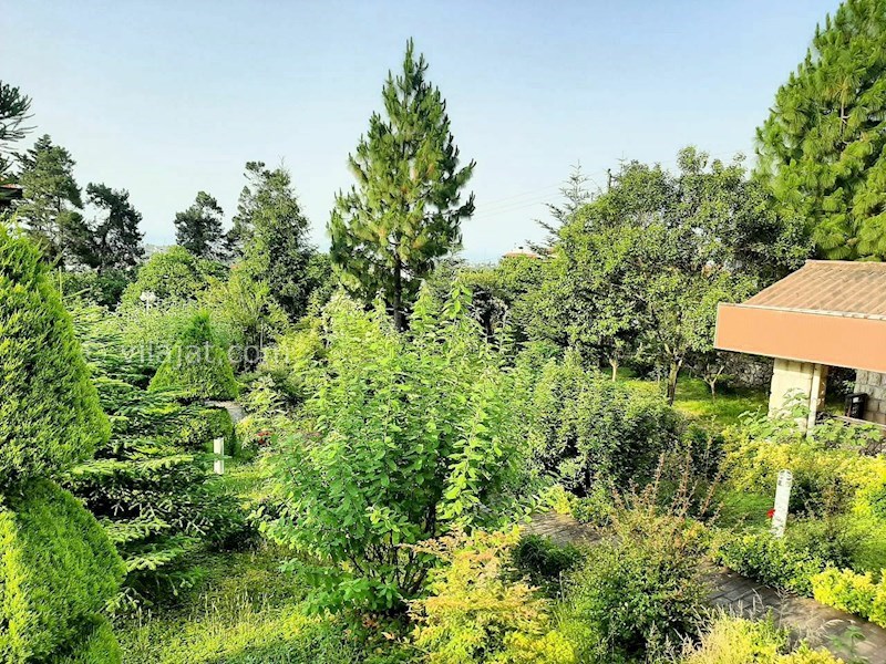 عکس اصلی شماره 7 - فروش ویلا باغ جنگلی در نوشهر 