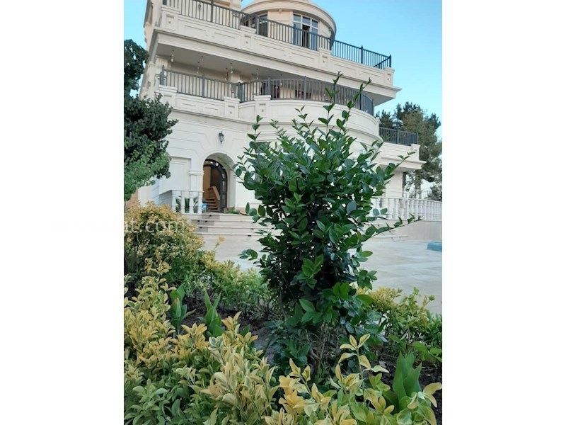 عکس اصلی شماره 4 - فروش ویلا باغ لوکس در محمد شهر