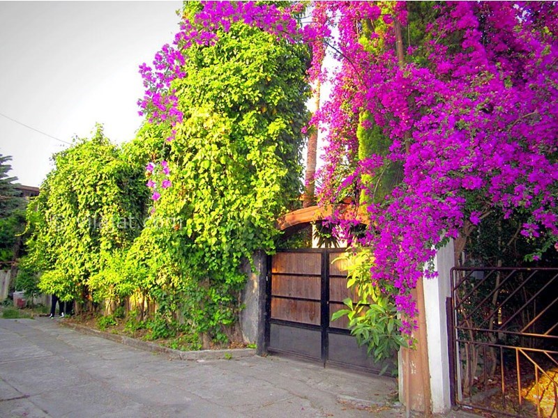 عکس اصلی شماره 4 - فروش ویلا باغ با استخر نوشهر
