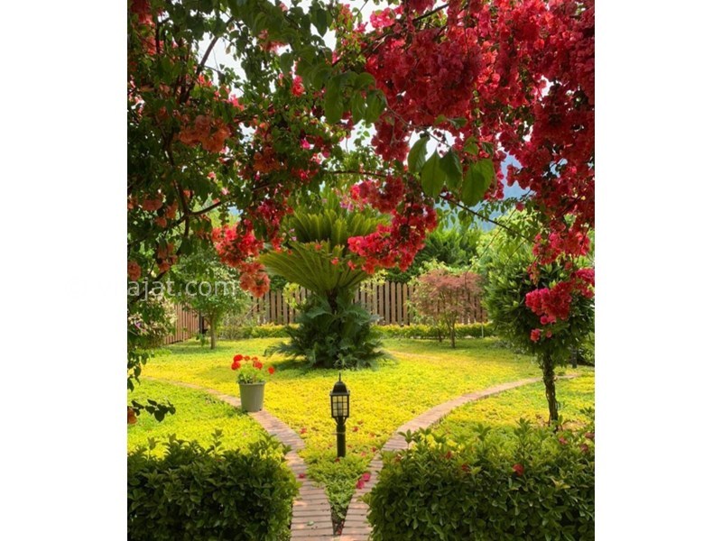 عکس اصلی شماره 2 - فروش ویلا باغ جنگلی نور