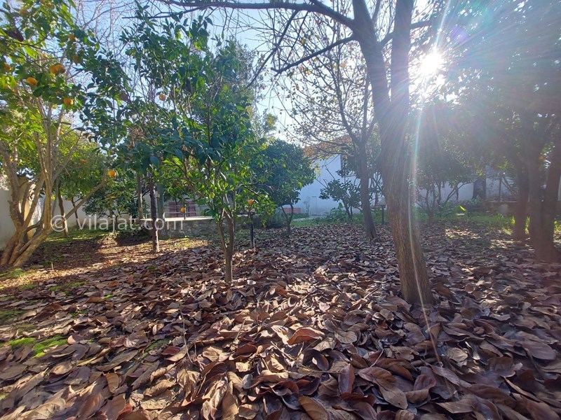 عکس اصلی شماره 13 - فروش ویلا باغ در محمودآباد