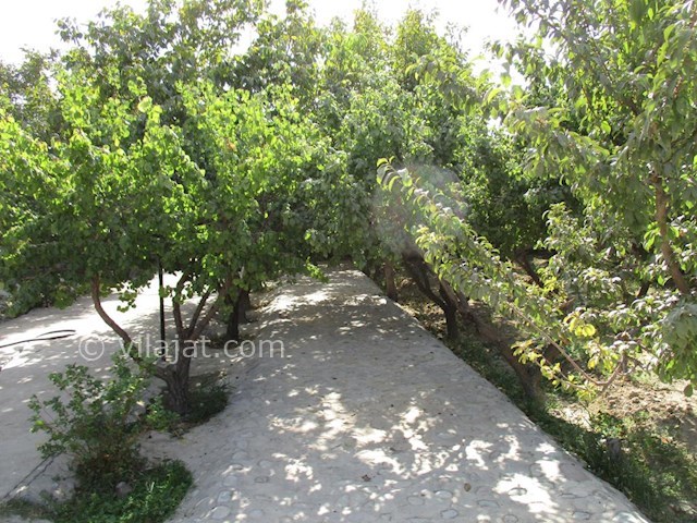 عکس اصلی شماره 6 - باغ ویلا بااستخر در ملارد
